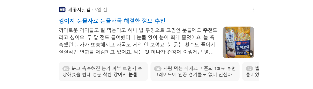 '강아지 눈물사료 추천' 검색 시 네이버 카페 영역 노출 화면