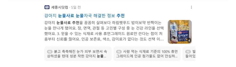 '눈물사료 추천' 검색 시 네이버 카페 영역 노출 화면