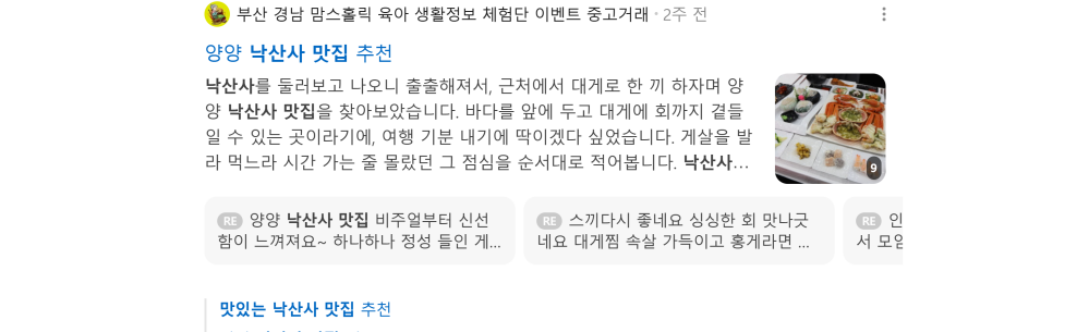 '낙산사 맛집' 검색 시 네이버 카페 영역 노출 화면